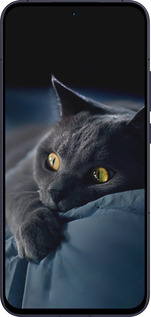 Силіконовий чехол Димчастий кіт для Oppo Reno13 5G - 825u-3944 изображение 