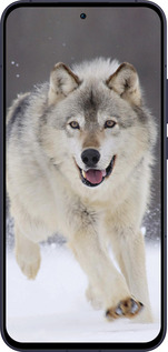 Силіконовий чехол Вовк, що біжить для Oppo Reno13 5G - 826u-3944 изображение 