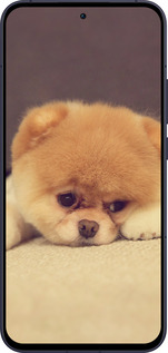 Силиконовый чехол Boo 2 для Oppo Reno13 5G - 890u-3944 изображение 