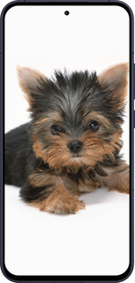 Силиконовый чехол Щенок йоркширского терьера для Oppo Reno13 5G - 931u-3944 изображение 