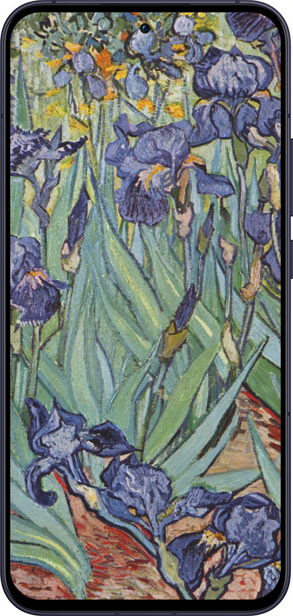 Силиконовый чехол Винсент Ван Гог. Ирисы для Oppo Reno13 5G - 161u-3944 изображение 