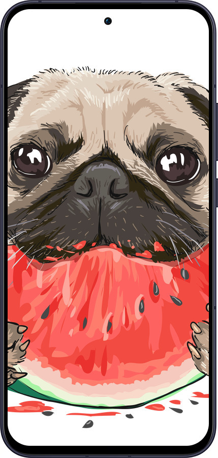 Силиконовый чехол Мопс и арбуз для Oppo Reno13 5G - 4665u-3944 изображение 