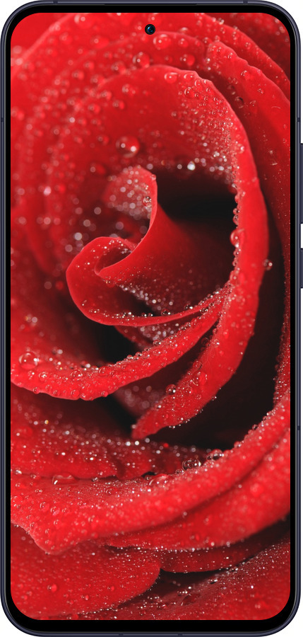 Силиконовый чехол Красная роза для Oppo Reno13 5G - 529u-3944 изображение 