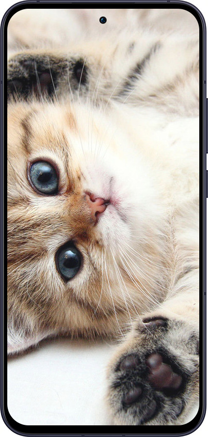 Силиконовый чехол Котик для Oppo Reno13 5G - 6024u-3944 изображение 