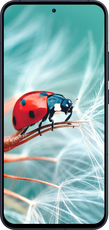 Силиконовый чехол Божья коровка для Oppo Reno13 5G - 6049u-3944 изображение 