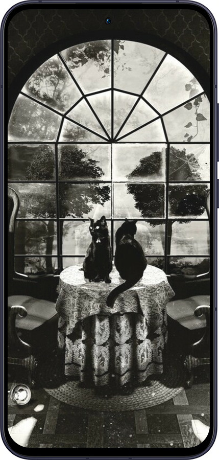 Силиконовый чехол Череп и коты для Oppo Reno13 5G - 6432u-3944 изображение 