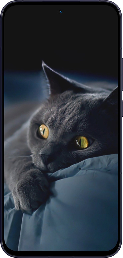 Силіконовий чехол Димчастий кіт для Oppo Reno13 5G - 825u-3944 изображение 