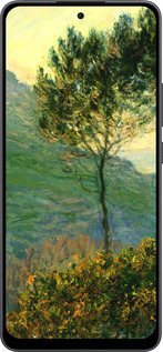 Силиконовый чехол Клод Моне для Oppo Reno13 F 5G / Reno13 F 4G - 1193u-3955 изображение 