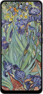 Силиконовый чехол Винсент Ван Гог. Ирисы для Oppo Reno13 F 5G / Reno13 F 4G - 161u-3955 изображение 