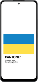 Силиконовый чехол Прапор Пантон для Oppo Reno13 F 5G / Reno13 F 4G - 5275u-3955 изображение 