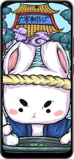 Силиконовый чехол № 5342 для Oppo Reno13 F 5G / Reno13 F 4G - 5342u-3955 изображение 