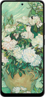 Силіконовий чехол Вінсент Ван Гог. Ваза з трояндами для Oppo Reno13 F 5G / Reno13 F 4G - 5543u-3955 изображение 