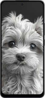 Силиконовый чехол Мальтипу на чорном фоне для Oppo Reno13 F 5G / Reno13 F 4G - 6156u-3955 изображение 