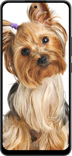 Силиконовый чехол Йоркширский терьер с хвостиком для Oppo Reno13 F 5G / Reno13 F 4G - 930u-3955 изображение 