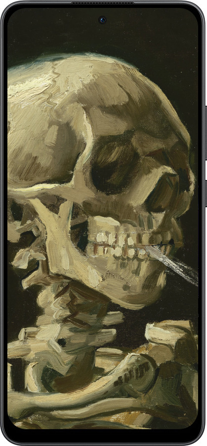 Силиконовый чехол Винсент Ван Гог. Череп для Oppo Reno13 F 5G / Reno13 F 4G - 5544u-3955 изображение 