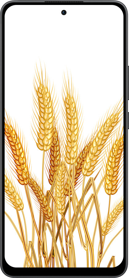 Силіконовий чехол Колоски пшениці для Oppo Reno13 F 5G / Reno13 F 4G - 5866u-3955 изображение 