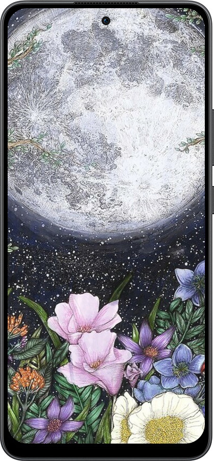 Силиконовый чехол Полночь в саду II для Oppo Reno13 F 5G / Reno13 F 4G - 6424u-3955 изображение 