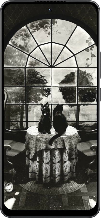 Силіконовий чехол Череп та коти для Oppo Reno13 F 5G / Reno13 F 4G - 6432u-3955 изображение 