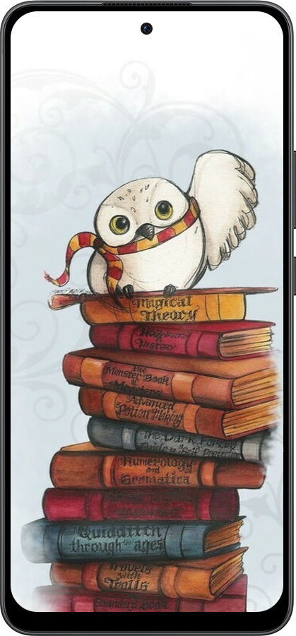Силиконовый чехол Сова и книги для Oppo Reno13 F 5G / Reno13 F 4G - 6436u-3955 изображение 