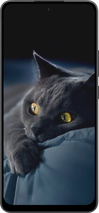 Силиконовый чехол Дымчатый кот для Oppo Reno13 F 5G / Reno13 F 4G - 825u-3955 изображение 