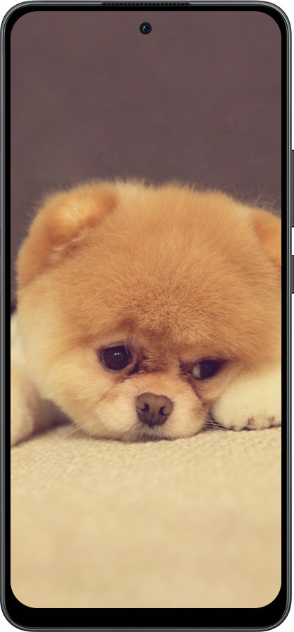 Силиконовый чехол Boo 2 для Oppo Reno13 F 5G / Reno13 F 4G - 890u-3955 изображение 