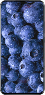 Силиконовый чехол Голубика для Oppo Reno13 Pro - 4459u-3943 изображение 