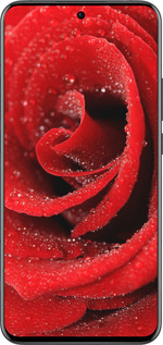 Силиконовый чехол Красная роза для Oppo Reno13 Pro - 529u-3943 изображение 