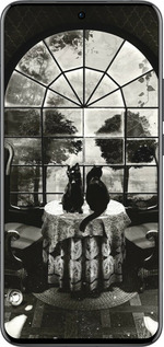 Силиконовый чехол Череп и коты для Oppo Reno13 Pro - 6432u-3943 изображение 