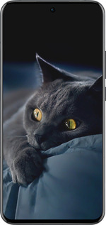 Силиконовый чехол Дымчатый кот для Oppo Reno13 Pro - 825u-3943 изображение 