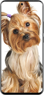 Силіконовий чехол Йоркширський тер'єр із хвостиком для Oppo Reno13 Pro - 930u-3943 изображение 