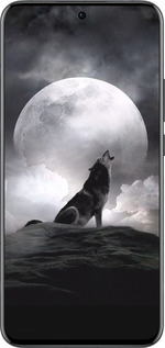 Силиконовый чехол Воющий волк для Oppo Reno13 Pro - 934u-3943 изображение 