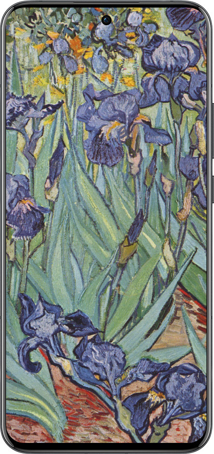 Силиконовый чехол Винсент Ван Гог. Ирисы для Oppo Reno13 Pro - 161u-3943 изображение 