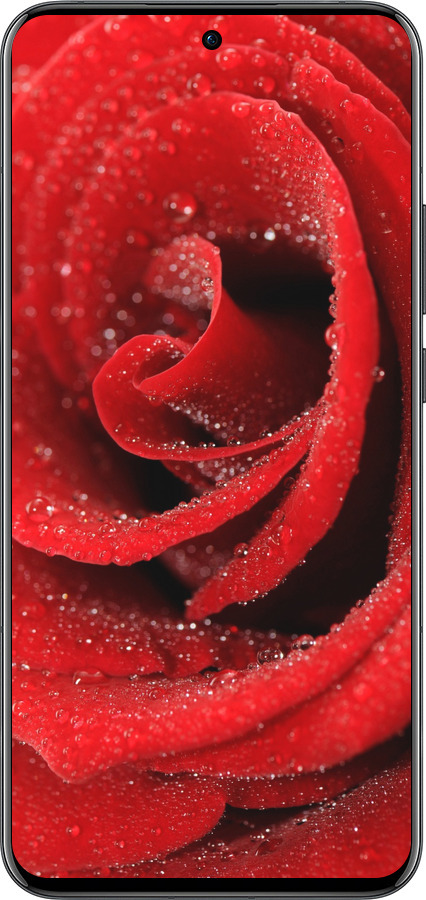 Силиконовый чехол Красная роза для Oppo Reno13 Pro - 529u-3943 изображение 