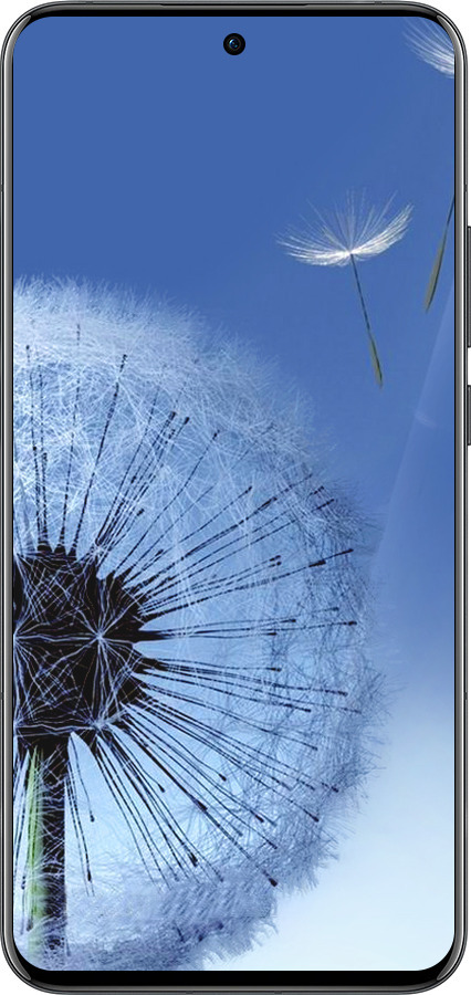 Силиконовый чехол Одуванчик для Oppo Reno13 Pro - 6005u-3943 изображение 