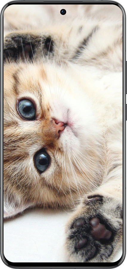 Силиконовый чехол Котик для Oppo Reno13 Pro - 6024u-3943 изображение 