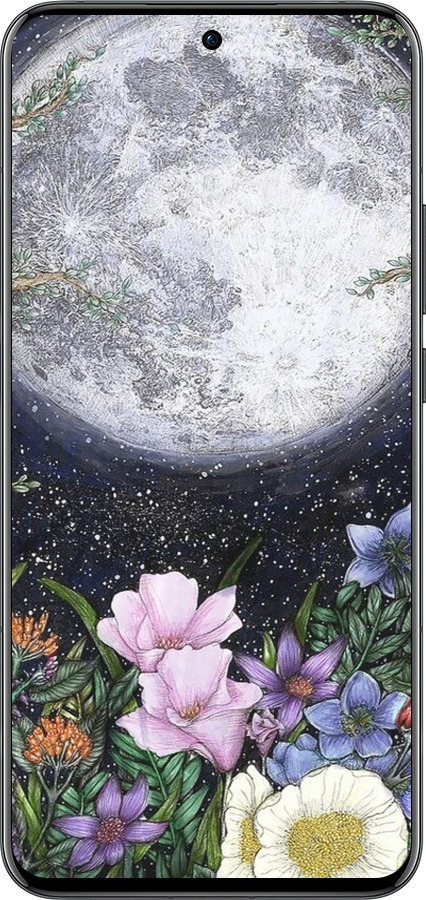 Силиконовый чехол Полночь в саду II для Oppo Reno13 Pro - 6424u-3943 изображение 