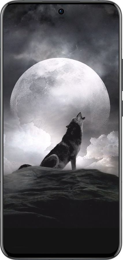 Силиконовый чехол Воющий волк для Oppo Reno13 Pro - 934u-3943 изображение 