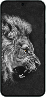 Силиконовый чехол Лев для Oppo RENO14 5G - 1080u-4058 изображение 