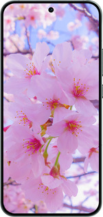 Силиконовый чехол Сакура для Oppo RENO14 5G - 6029u-4058 изображение 