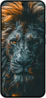 Силиконовый чехол Лев в сумерках для Oppo RENO14 5G - 6154u-4058 изображение 