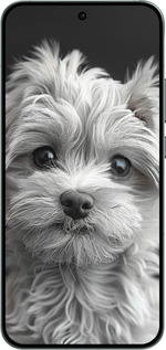 Силиконовый чехол Мальтипу на чорном фоне для Oppo RENO14 5G - 6156u-4058 изображение 