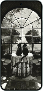 Силиконовый чехол Череп и коты для Oppo RENO14 5G - 6432u-4058 изображение 