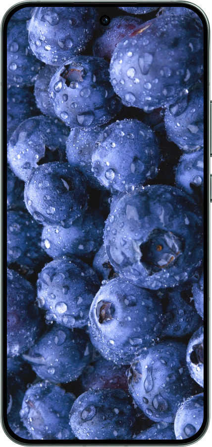 Силиконовый чехол Голубика для Oppo RENO14 5G - 4459u-4058 изображение 