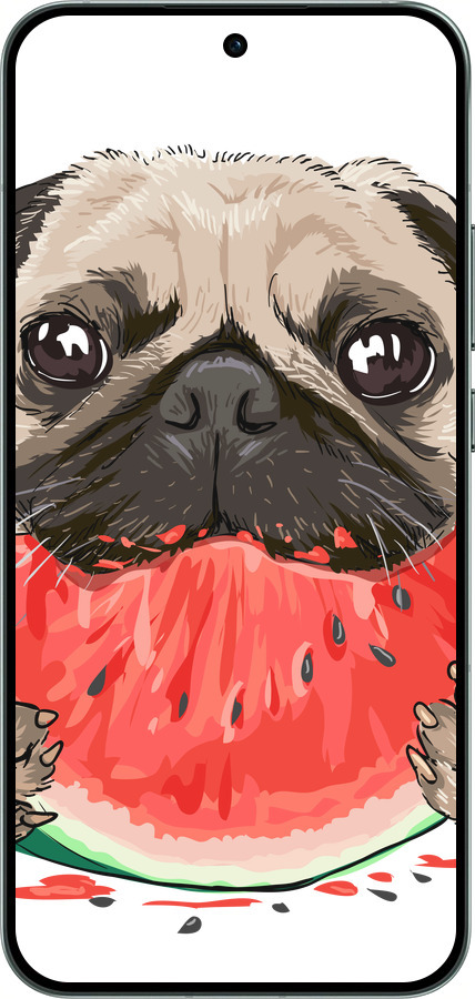Силиконовый чехол Мопс и арбуз для Oppo RENO14 5G - 4665u-4058 изображение 