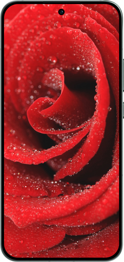 Силиконовый чехол Красная роза для Oppo RENO14 5G - 529u-4058 изображение 