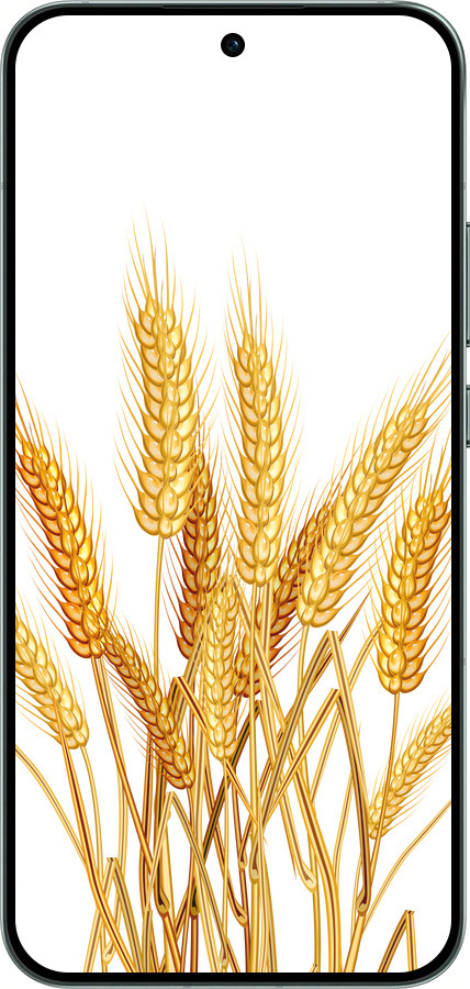 Силиконовый чехол Колоски пшеници для Oppo RENO14 5G - 5866u-4058 изображение 