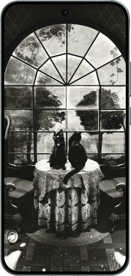 Силиконовый чехол Череп и коты для Oppo RENO14 5G - 6432u-4058 изображение 