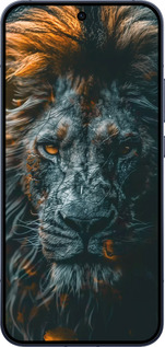 Силиконовый чехол Лев в сумерках для Oppo RENO15 5G - 6154u-4201 изображение 