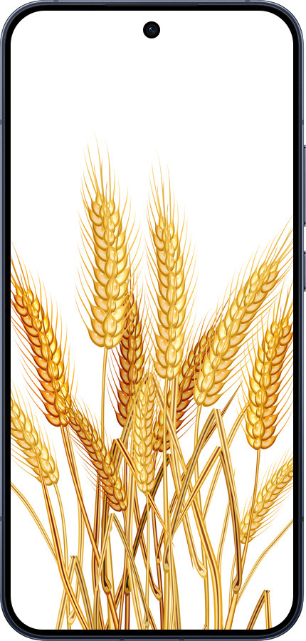 Силіконовий чехол Колоски пшениці для Oppo RENO15 5G - 5866u-4201 изображение 