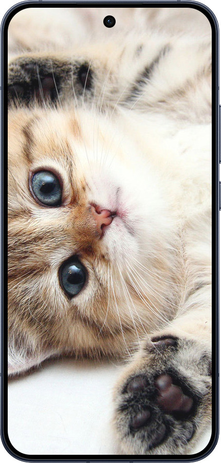 Силиконовый чехол Котик для Oppo RENO15 5G - 6024u-4201 изображение 